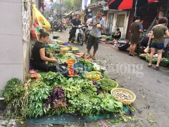 Thực phẩm giải nhiệt “nóng” cùng thời tiết