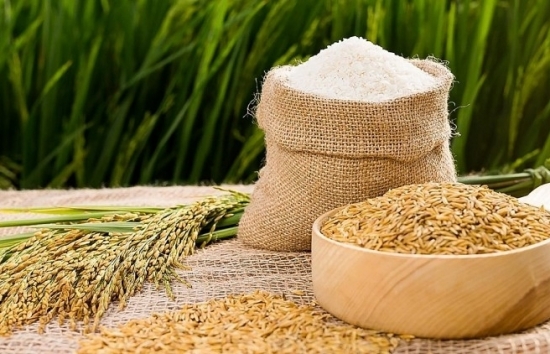 Giá lúa gạo hôm nay 6/5: Nguồn lúa cạn đồng, giá ổn định