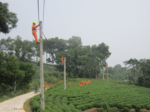 Điện lực TP Tuyên Quang: Đi đầu phong trào thi đua xây dựng nông thôn mới