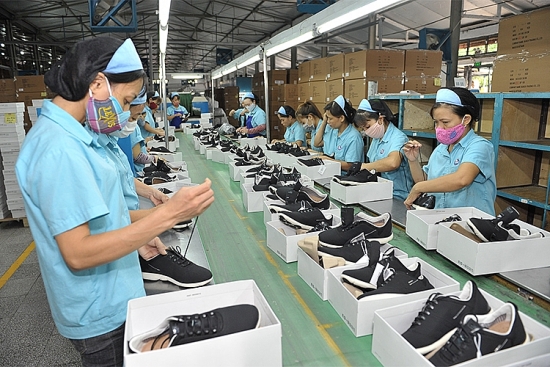 Doanh nghiệp da giày cần đánh giá rủi ro khi xuất khẩu vào thị trường EU