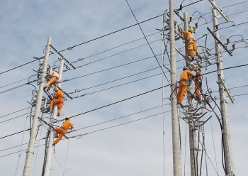 EVN khuyến cáo thi công các công trình gần đường dây, tránh tai nạn điện