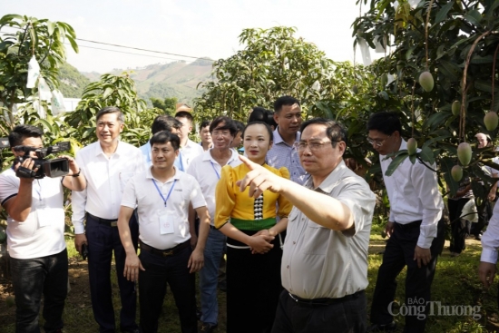 Thủ tướng Chính phủ: Biến không thể thành có thể từ tư duy "Đưa cây ăn quả lên sườn dốc"