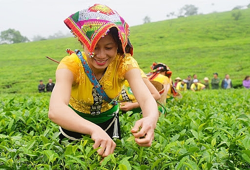 Quyết liệt vào cuộc, nâng cao chất lượng sống của đồng bào dân tộc thiểu số