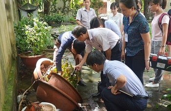 Sốt xuất huyết tăng tại Hà Nội: Có sự lưu hành của typ D4 hiếm gặp tại nhiều xã, phường