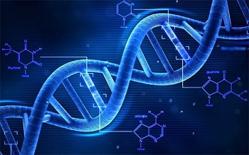 Xét nghiệm di truyền đánh giá nguy cơ ung thư