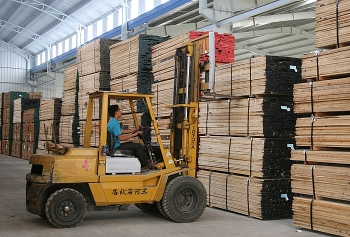 Hình thành chuỗi liên kết chế biến gỗ - Cơ hội phát triển bền vững