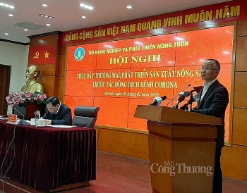 Vietnam seeks ways to promote exports amidst fear of coronavirus impacts