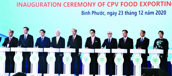 CPV: Hợp tác nâng tầm giá trị nông sản Việt Nam