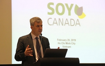 Opportunities for businesses importing soybeans from Canada
