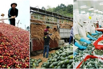 Agricultural sector posts trade surplus of 1 billion USD in 2 months