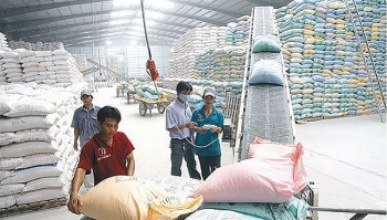Vietnam sees bright prospects for rice exports