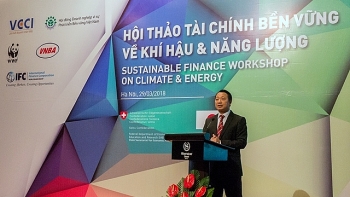 Financial sector helps boost transition for low-carbon economy: experts