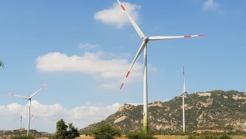 Mui Dinh wind farm inaugurated in Ninh Thuan