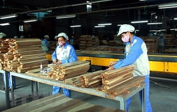 Forestry product exports rise by nearly 18 pct in first four months