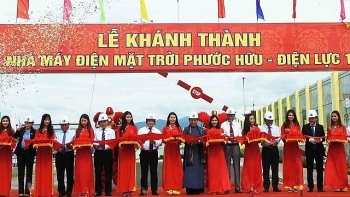 Solar power plant becomes operational in Ninh Thuan