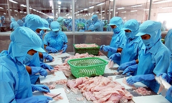 Seafood business under pressure to boost competitiveness
