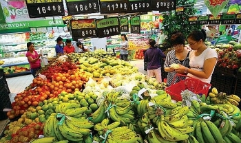 Vietnam’s fruit and vegetable exports up 14.1 pct in eight months