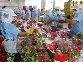 Tien Giang works towards US$2.65 billion in export this year