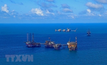FDI lays foundation for acceleration of oil and gas sector