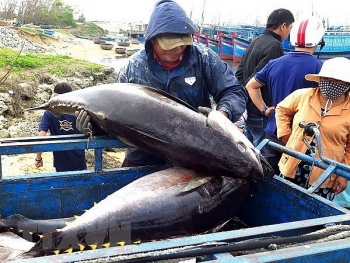 Vietnam’s exporters advised to expand tuna exports to Middle East