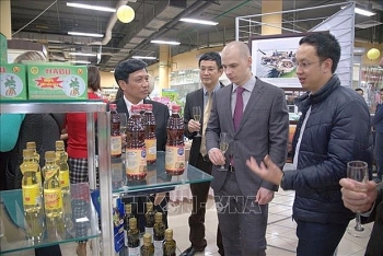Thanh Hoa province promotes trade in Russia