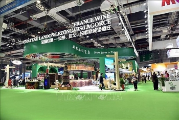 Vietnamese firms attend second China International Import Expo