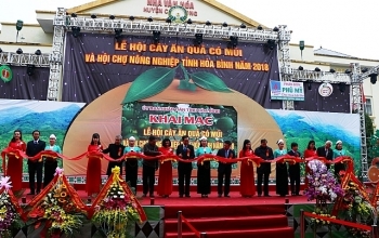 Hoa Binh hosts Citrus Fruit Festival and Agricultural Fair