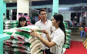Festival honors Vietnamese rice’s position