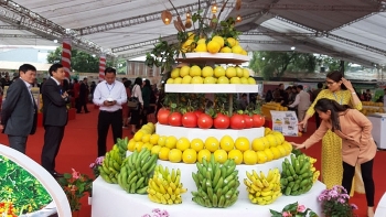 Festival highlights Hanoi agricultural products, trade villages