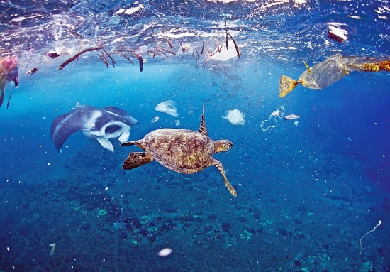 Giải quyết rác thải nhựa đại dương:  Cần một thỏa thuận toàn cầu