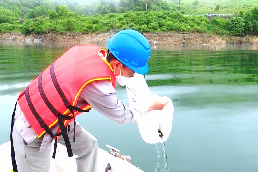 Quảng Nam: Sinh kế bền vững cho người dân lòng hồ thủy điện