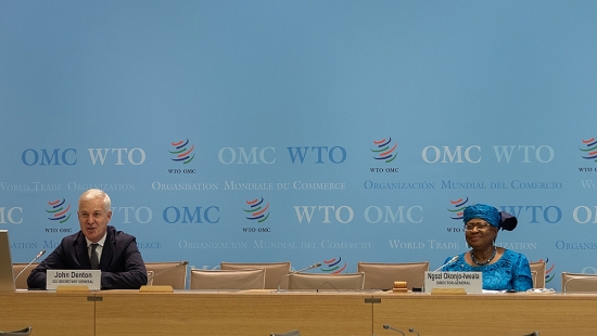 Đàm phán WTO có thể vực dậy đầu tư toàn cầu?