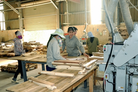 Lâm Đồng: Hỗ trợ doanh nghiệp vượt khó