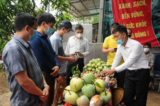 Xây dựng thương hiệu: Nâng tầm nông sản Sơn La