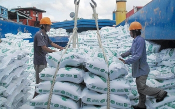 Thủ tướng chỉ đạo tạm dừng ký hợp đồng xuất khẩu gạo mới