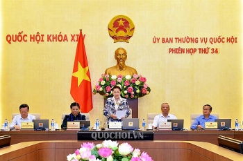 Phấn đấu đạt và vượt các chỉ tiêu kinh tế - xã hội năm 2019