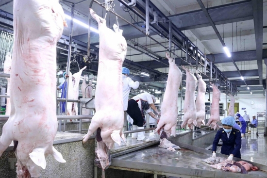 Khánh Hòa: Đề xuất giải pháp bình ổn giá thịt lợn