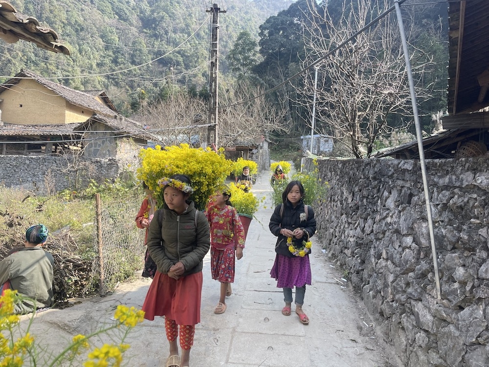 Những em bé dân tộc Mông Làng Văn hoá du lịch Lũng Cẩm (xã Sủng Là, huyện Đồng Văn) với chiếc quẩy tấu phủ vàng hoa cải