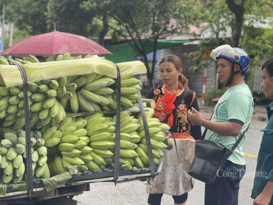 Lai Châu: Nông sản xuất khẩu sang Trung Quốc xuống giá