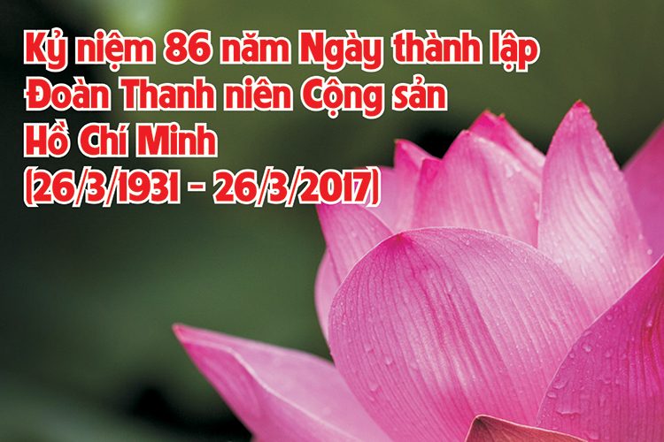 Thư chúc mừng của Bộ trưởng Trần Tuấn Anh nhân dịp 86 năm Ngày thành lập ĐTNCS Hồ Chí Minh