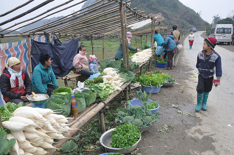 Hợp tác xã toàn thôn ở Hà Giang: ​Cú hích để hoàn thành “tiêu chí thu nhập”