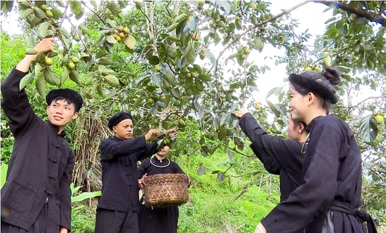 Cần thúc đẩy nhịp sống kinh tế sôi động cho miền núi, vùng sâu, vùng xa, hải đảo