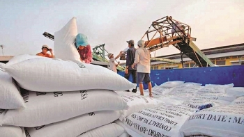 Philippines là thị trường xuất khẩu gạo lớn nhất của Việt Nam