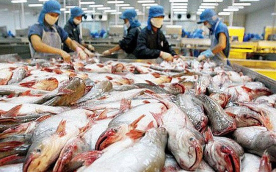 Kết quả tích cực về rà soát chống bán phá giá cá tra, basa Việt Nam tại thị trường Hoa Kỳ