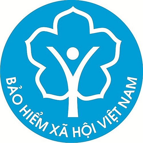Thủ tướng Chính phủ ban hành quy định chức năng, nhiệm vụ, quyền hạn và cơ cấu tổ chức của BHXH Việt Nam
