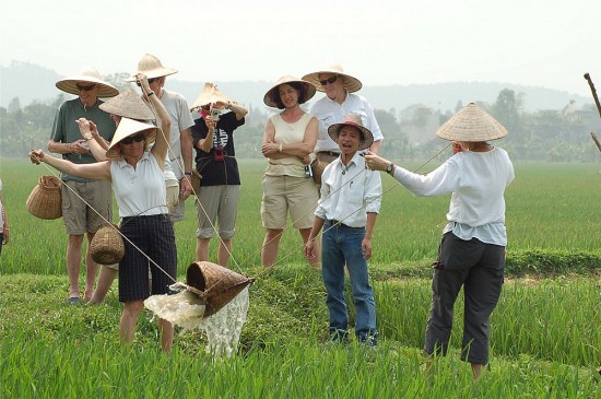 Đến năm 2025 phát triển, chuẩn hoá các điểm đến và sản phẩm du lịch nông thôn