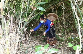 Măng khô Thanh Lâm - sản phẩm đặc trưng của đồng bào dân tộc xứ Thanh