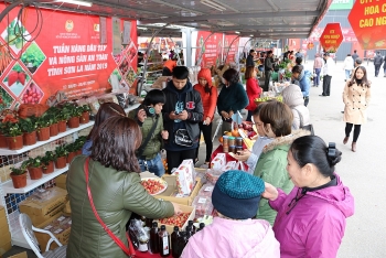 Lần đầu tiên, trái dâu tây Sơn La được quảng bá đến người tiêu dùng Thủ đô