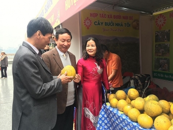 Hội chợ nông sản Tết Kỷ Hợi năm 2019 Hà Nội- Quy tụ đặc sản vùng miền