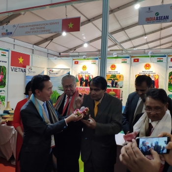 Quảng bá hàng hóa Việt Nam tại Hội chợ Asean - Ấn Độ 2019